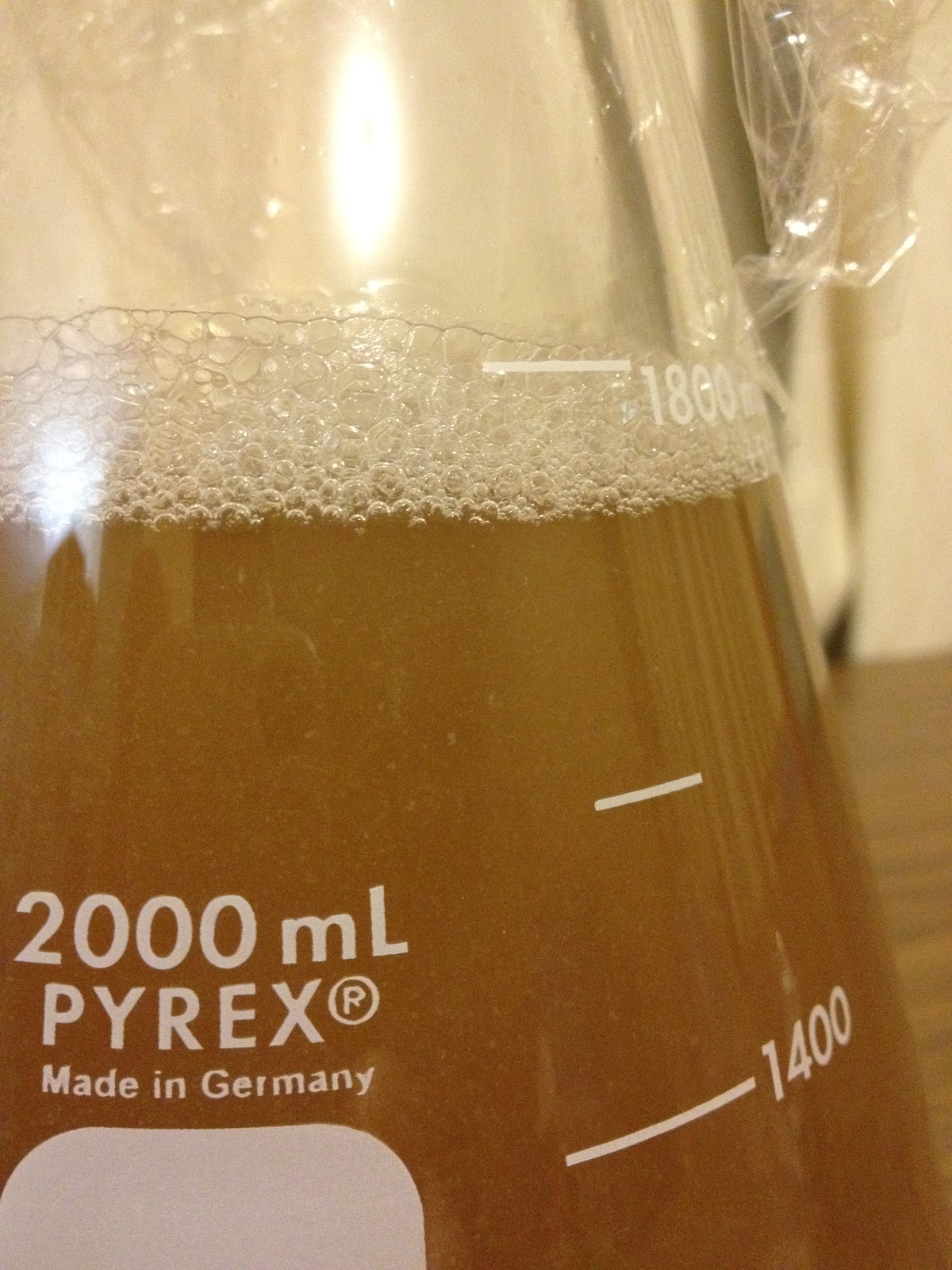 Wild yeast update 2