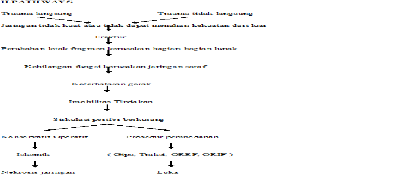 kumpulan asuhan keperawatan: Askep pada pasien fraktur ekstrimitas atas ...