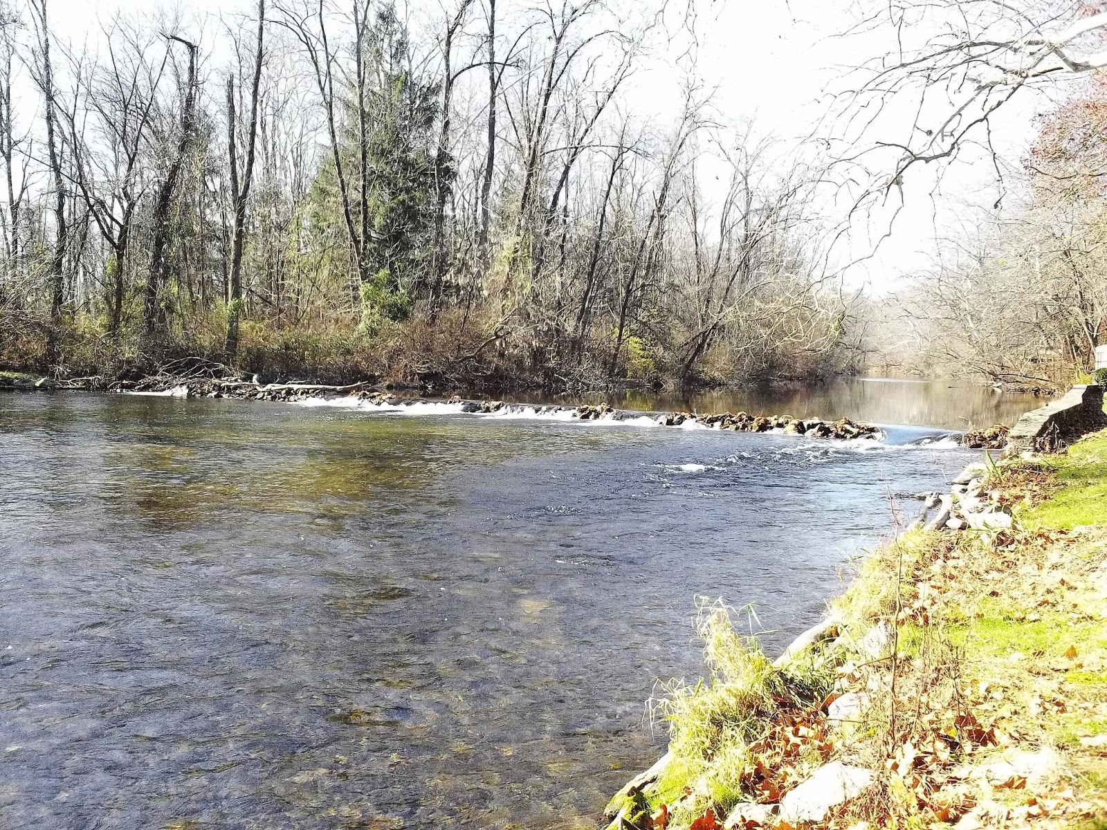 Ralph's Fly Box: Yellow Breeches