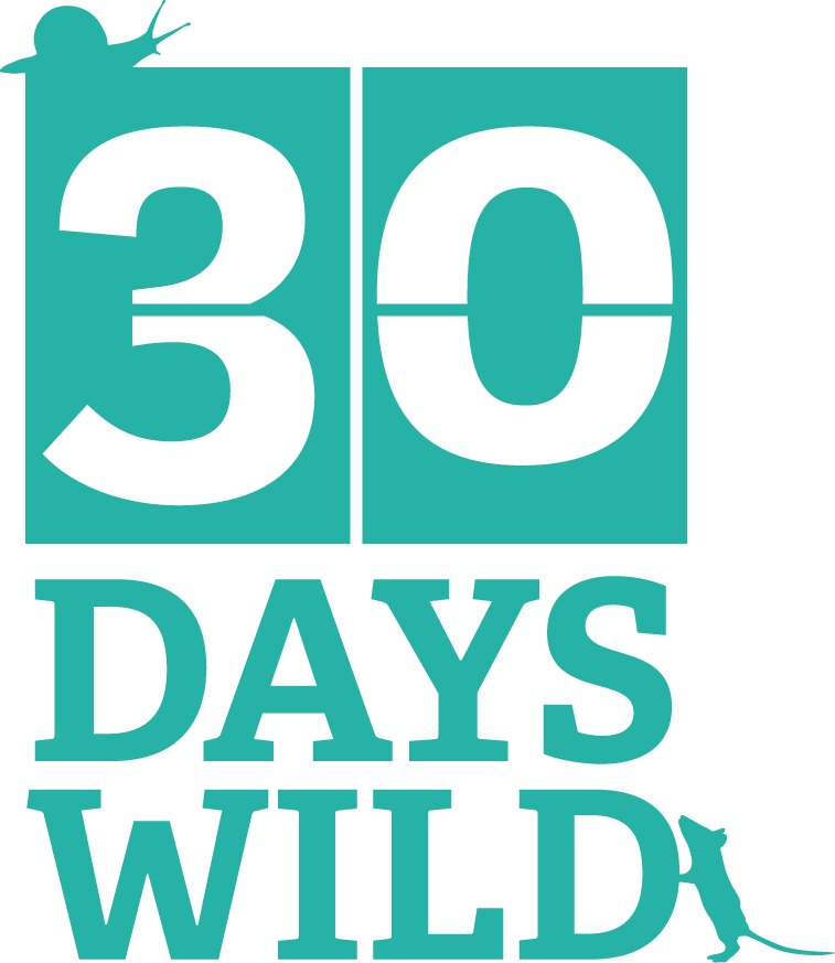 30 Days Wild