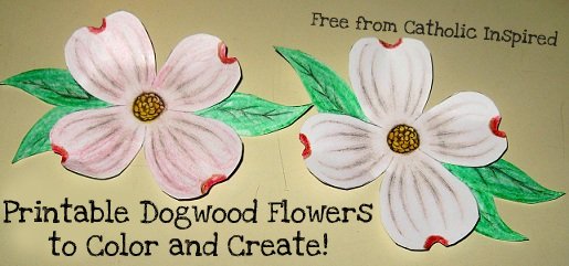 coloring-pages-printable-picture-of-dogwood-flower