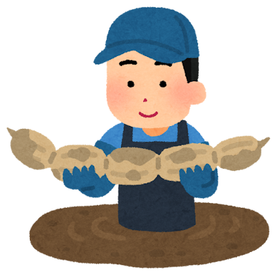 レンコンの収穫のイラスト