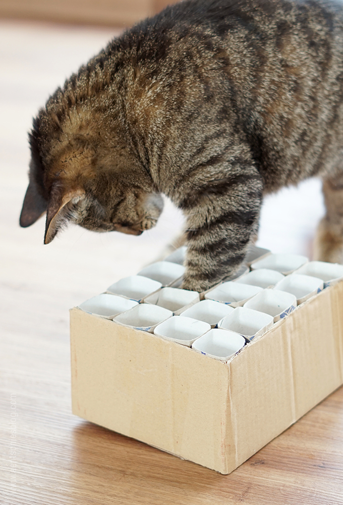 aentschies Blog: Katzenspielzeug Fummelkiste DIY