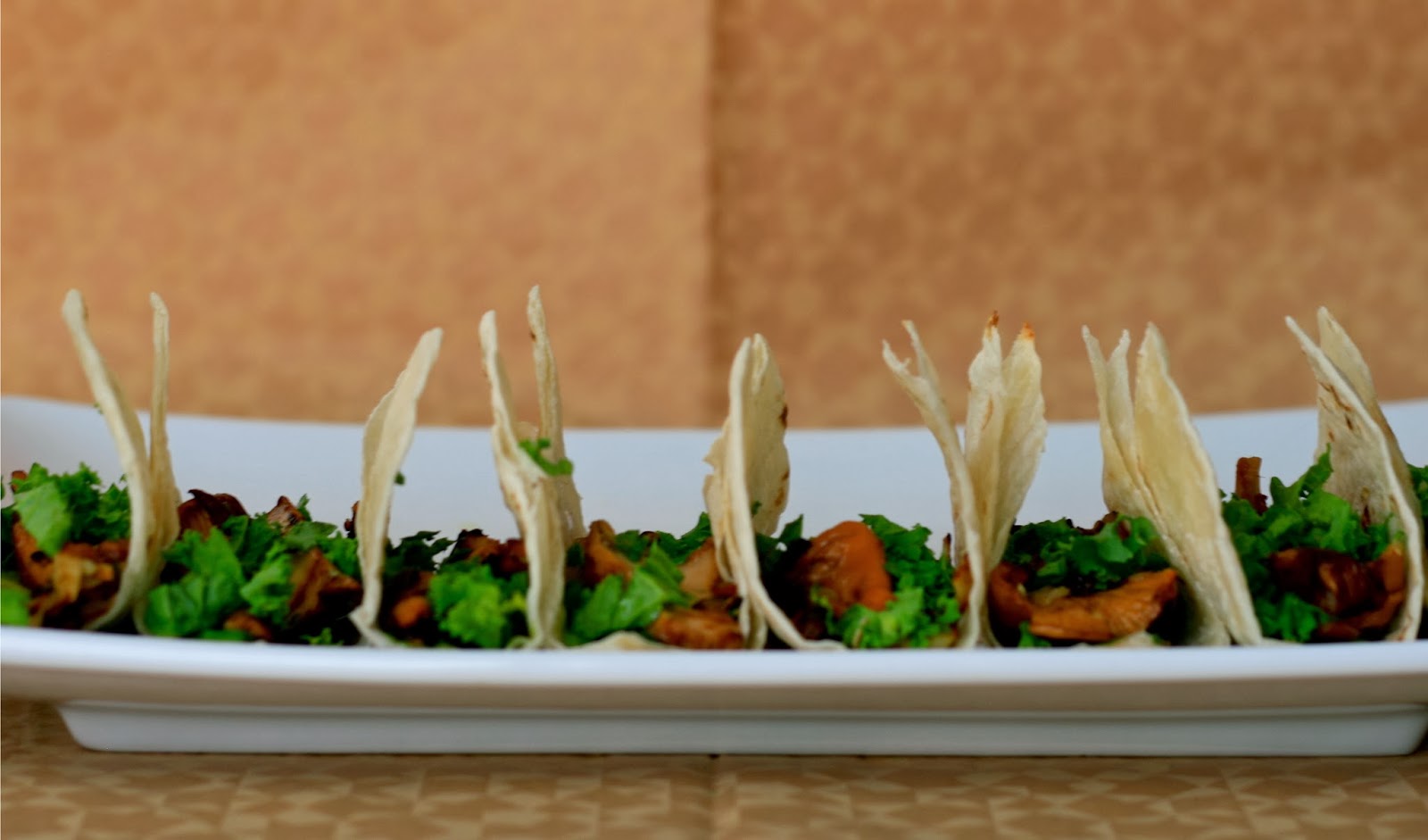 b + w rainy days (and chanterelle tacos)