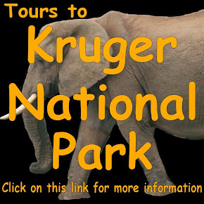 Tours to Kruger National Park