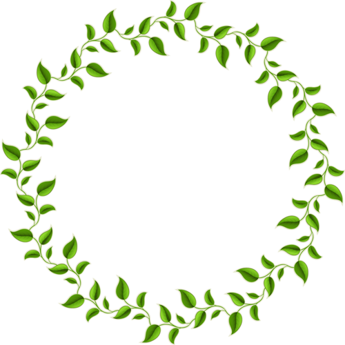 ForgetMeNot: green leaves plants frames