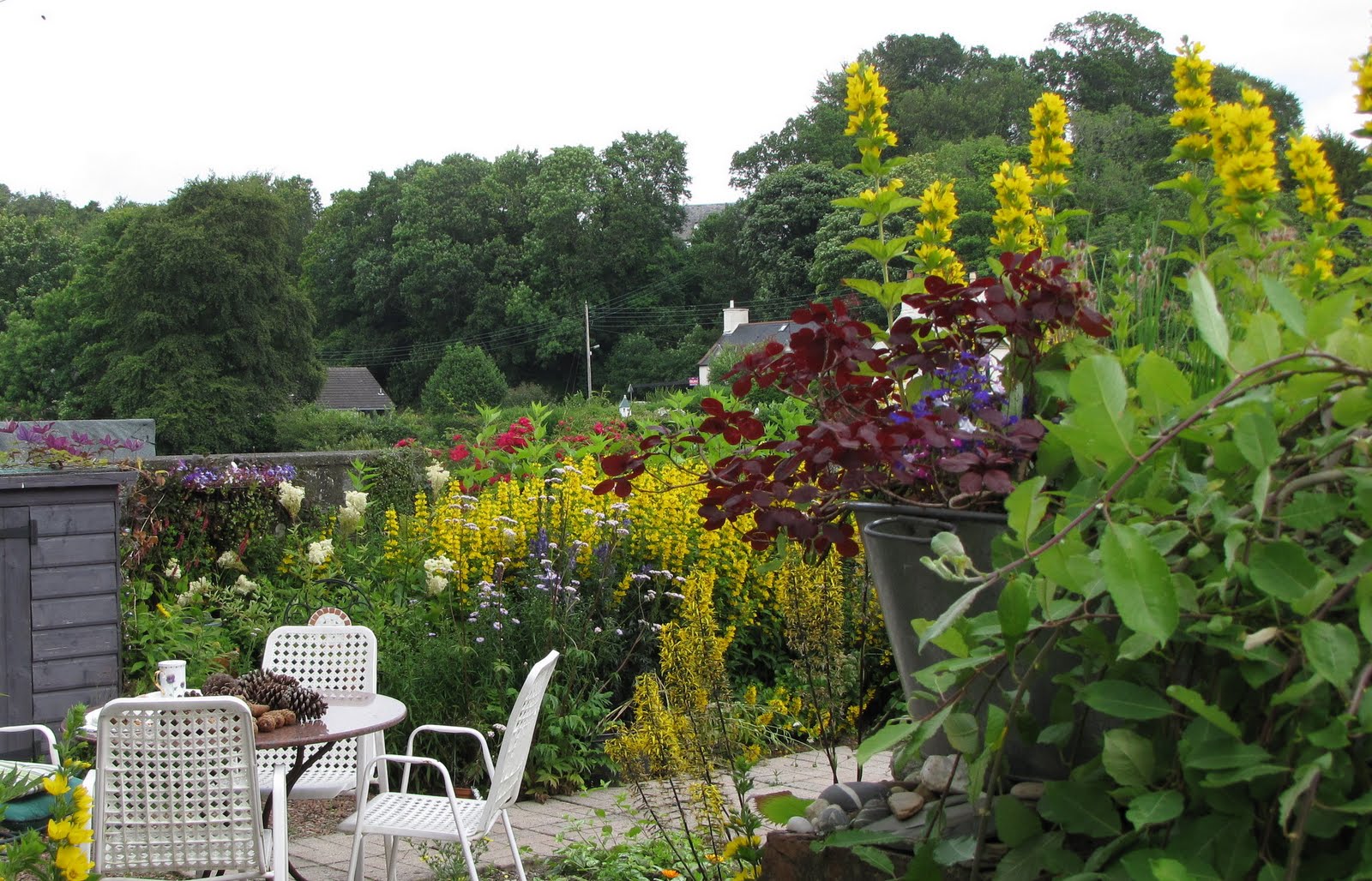 The Glebe Blog: Newton Stewart in Bloom -- Wild and Cultivated ...