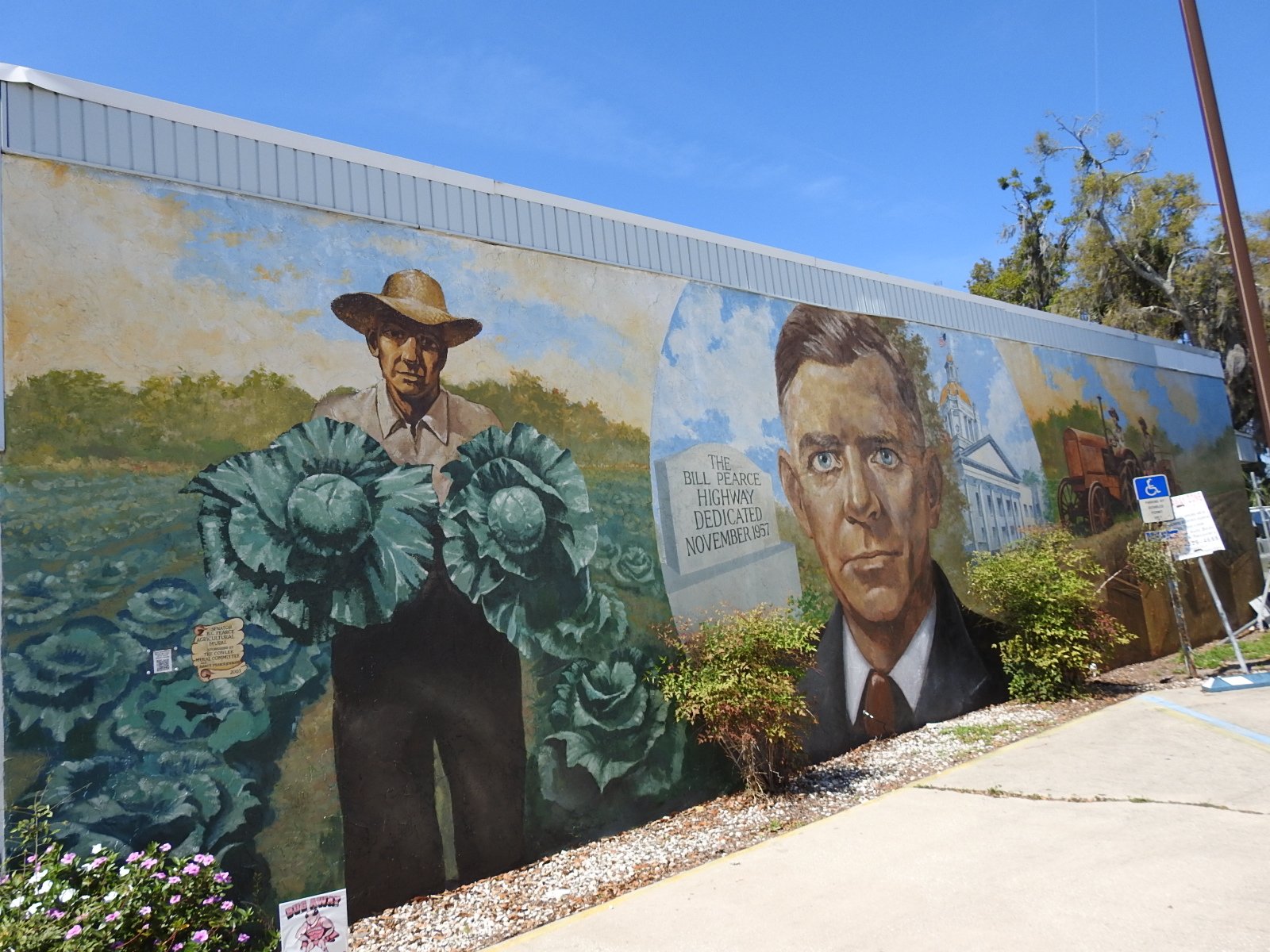 Traveling with Tucson Florida Palatka Wall Murals