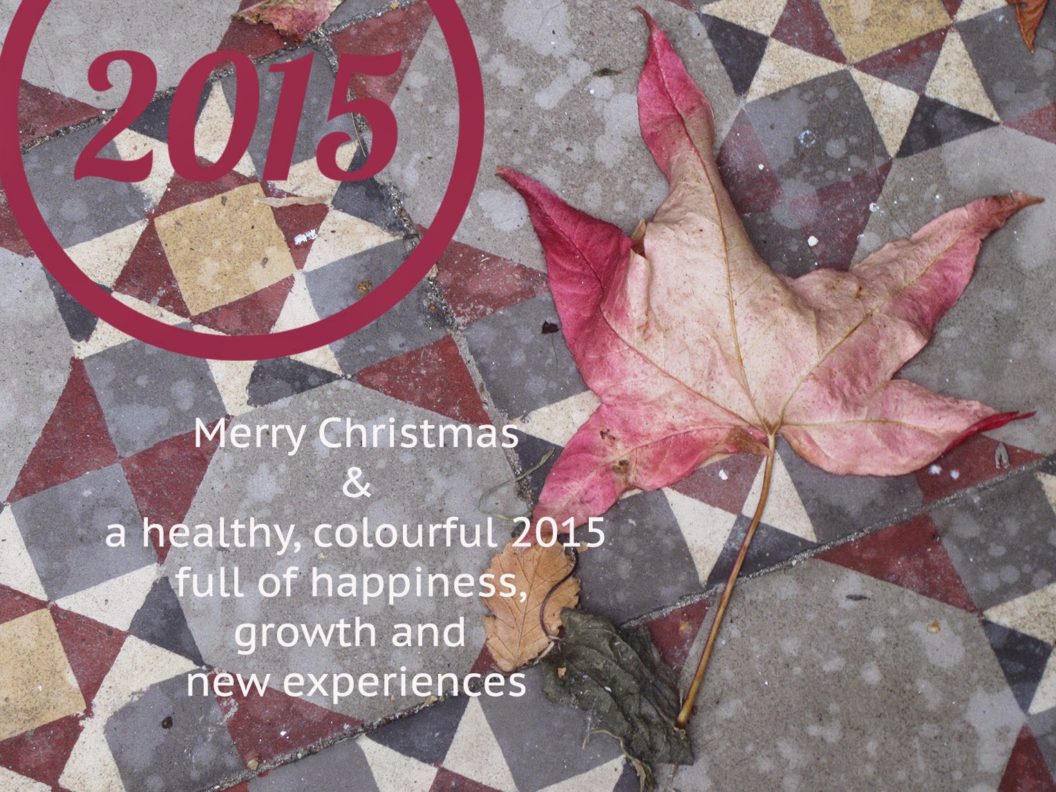 Christmas card 2014