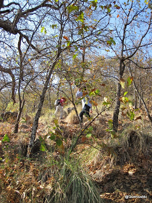 Ascendiendo la Sierra del Tecuán