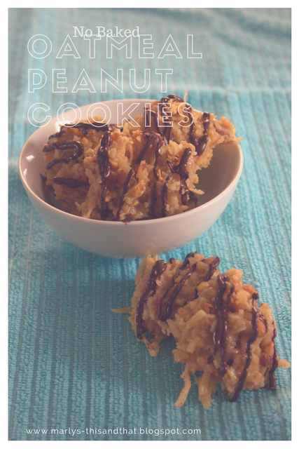 Coconut Peanut Cookies / This and That - gluten free, no bake cookies