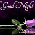 Good Night Good Night