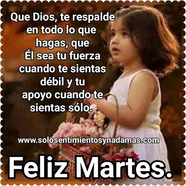 Feliz martes