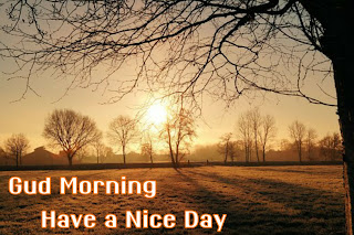 Best Sun Rise Good Morning Images