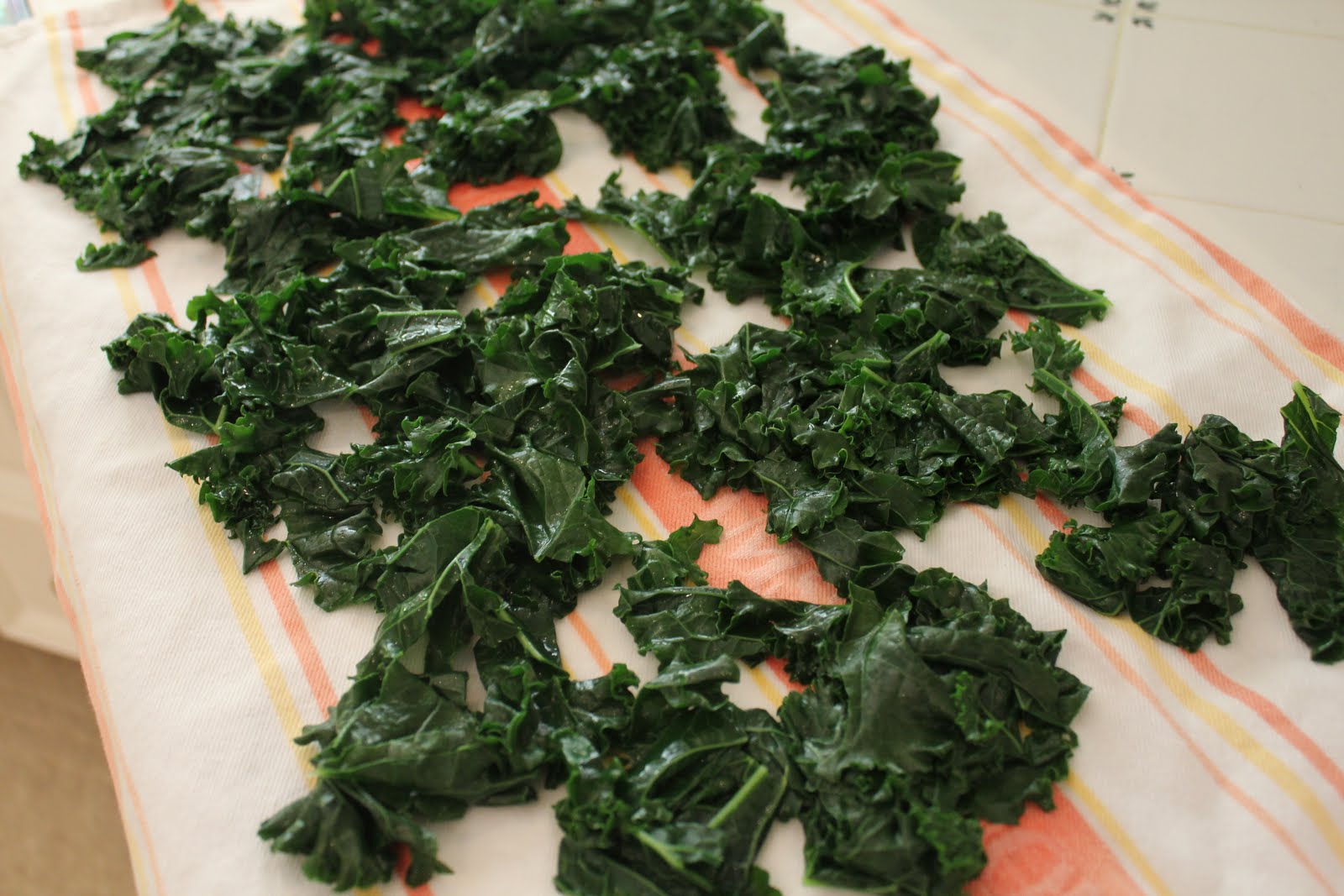 Busy Bee Lane Blanching & Freezing Kale