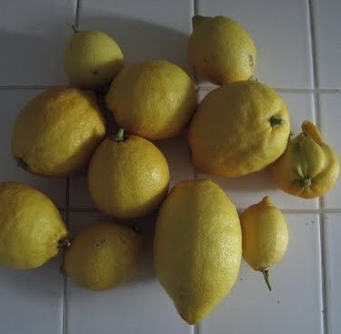 too many lemons
