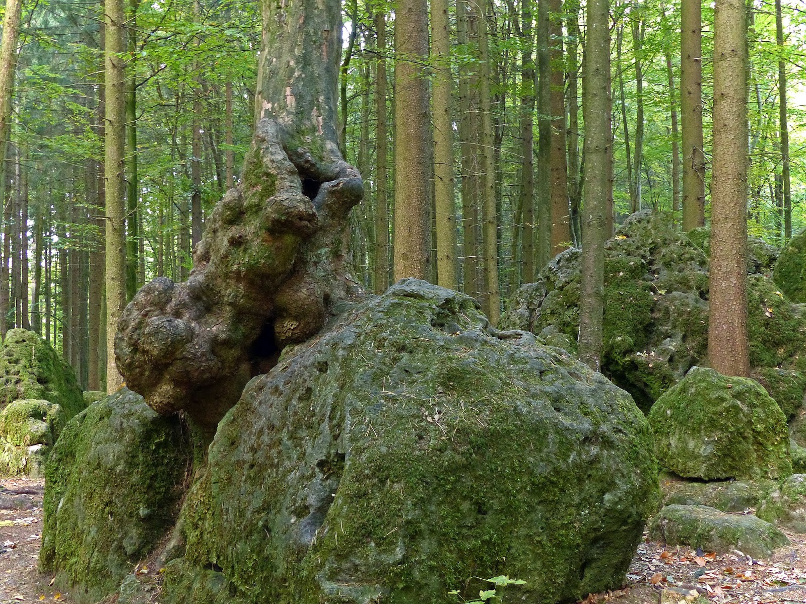 Augenblicke Fotografie Der Druidenhain Bei Wohlmannsgesees