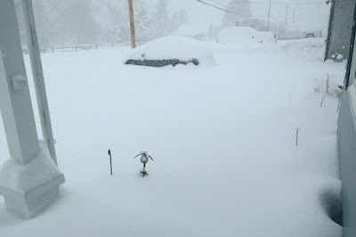 2016 Blizzard in Pennsylvania #Jonas 