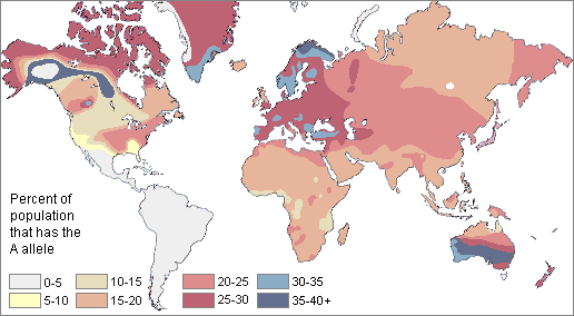 Distribution of the A type blood allele in native populations of the world