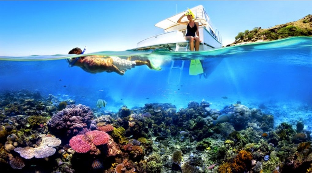 The Best Snorkeling Spots In Bali | Information and Reference about