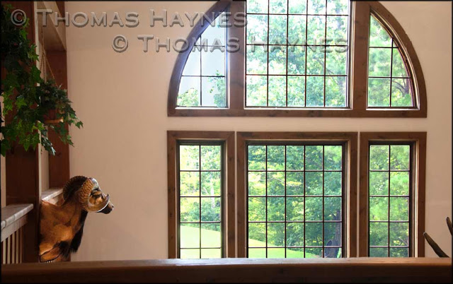 Overexposed window corrected with overlay, thomas haynes photoshoot