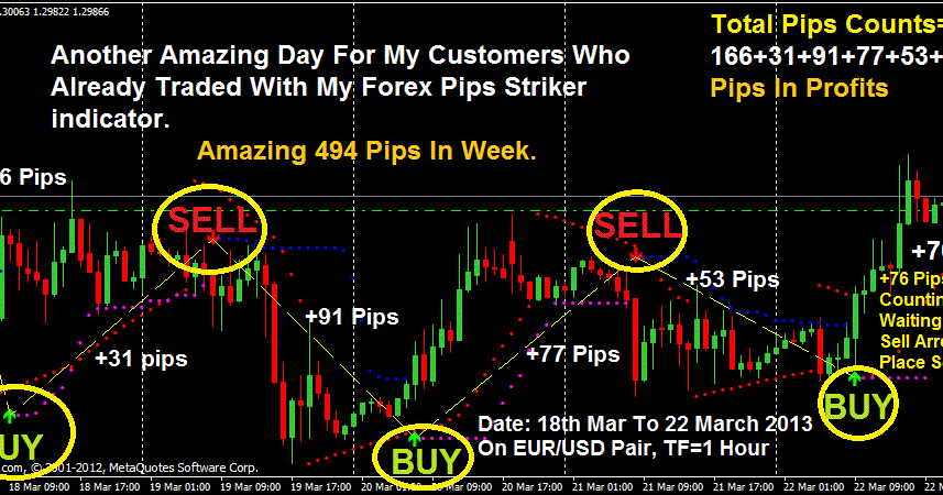 Accurate forex trader