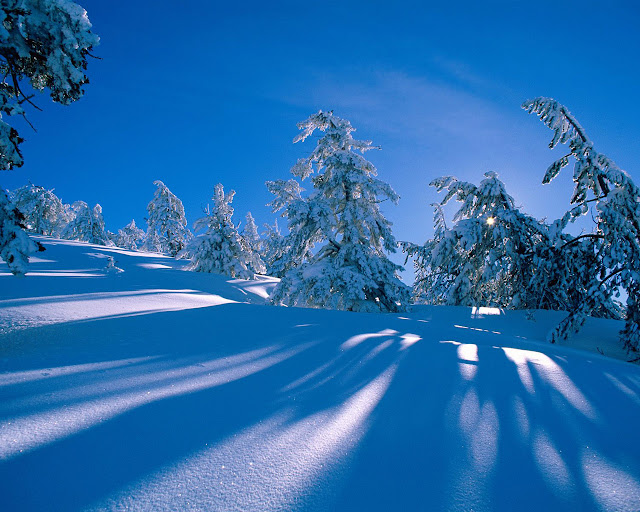 Hermoso Invierno - Beautifull Winter