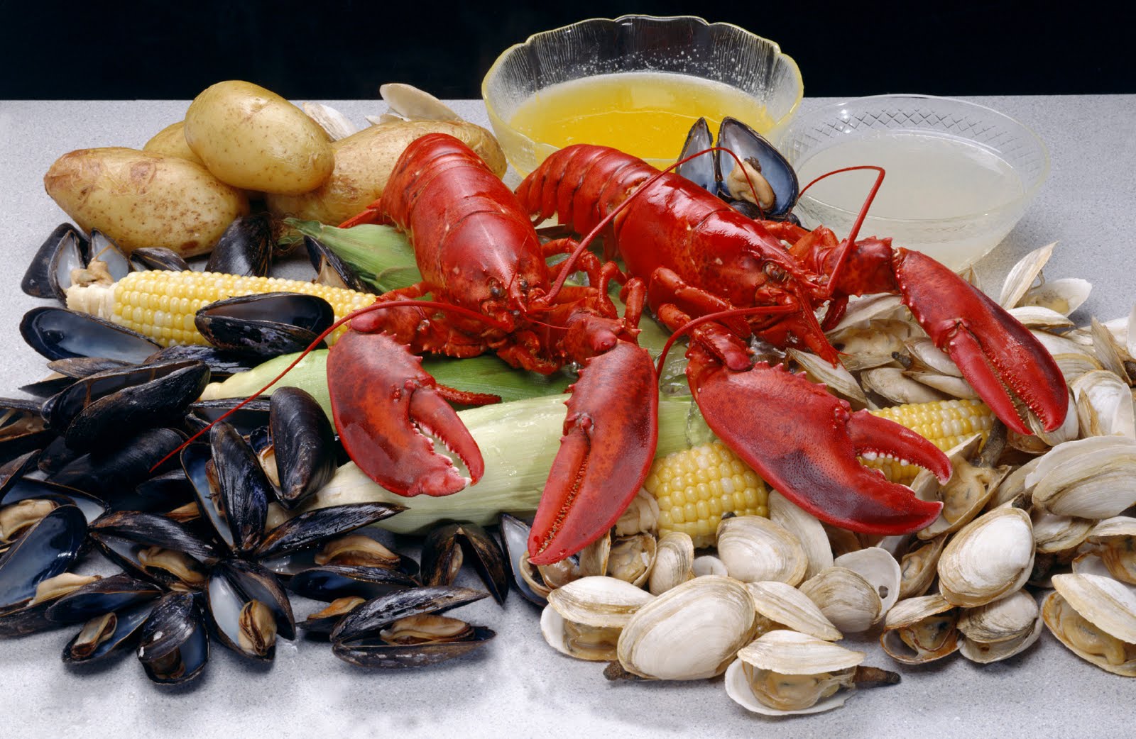 Gold Coast Cruises & Tours: Seafood Buffet now onboard