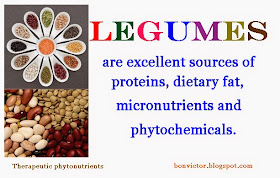 bonvictor.blogspot.com Therapeutic phytonutrients