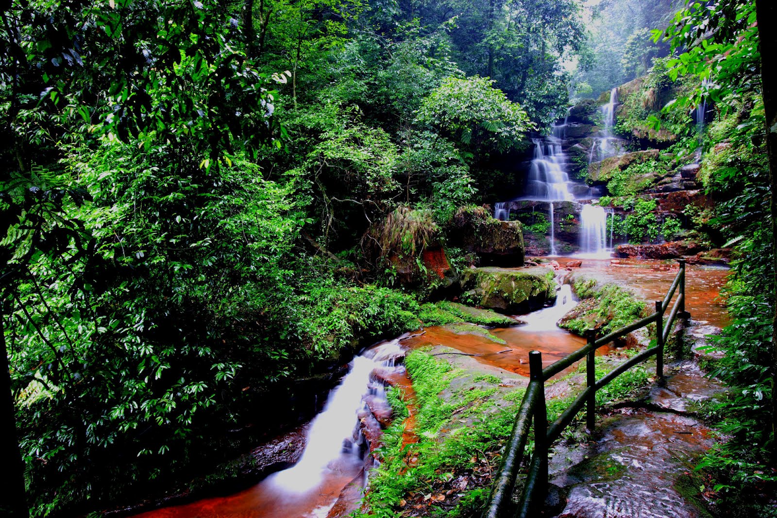 Río de agua viva formando hermosas cascadas naturales en los bosques de
