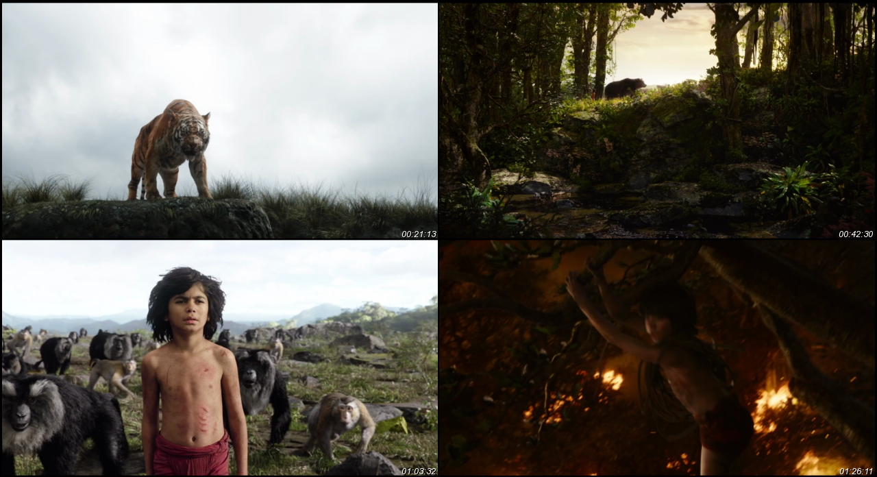 The Jungle Book 2016