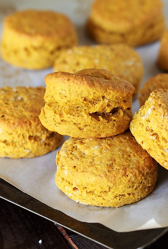 Pumpkin Biscuits {with PecanHoney Butter} The Kitchen is My Playground