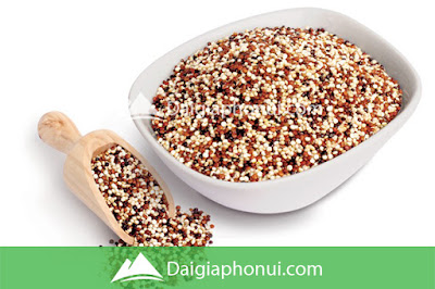 Hạt Diêm Mạch - Quinoa - Dai Gia Pho Nui