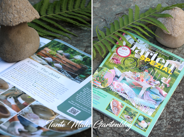 Salat Im Gewachshaus Und Die Staudenbeete Werden Aufgeraumt