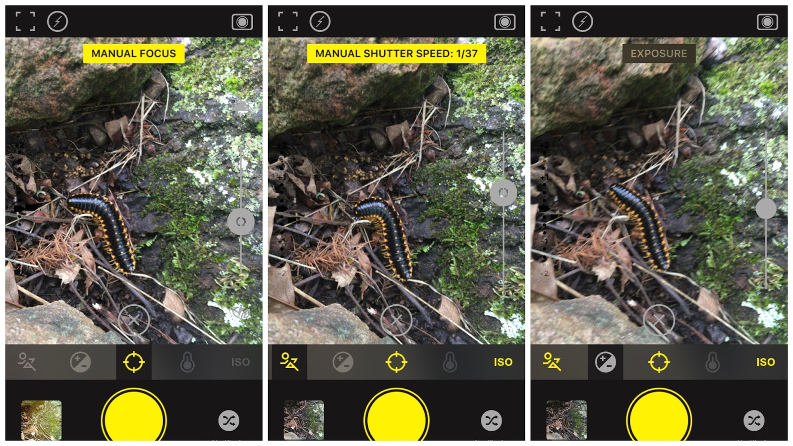 five sixteenths blog App Review // Hipstamatic Best Analog Camera App for Summer