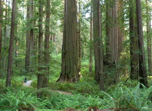 10 World Heritage List of United States of America 10 World Heritage List of United States of America