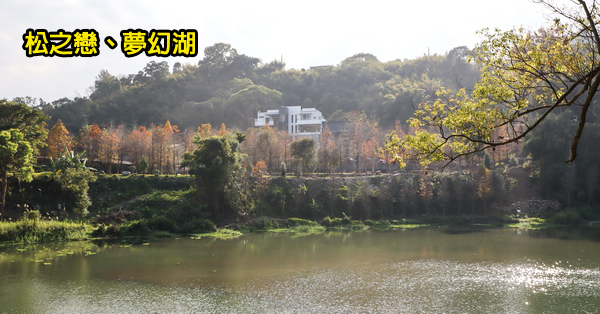 台中新社|松之戀|夢幻湖(雙翠湖)|白色玻璃屋和400棵落羽松依山傍水|新社秘境