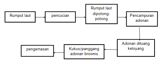 Fazway Brothers Laporan Teknologi Proses Agro Brownies Rumput Laut