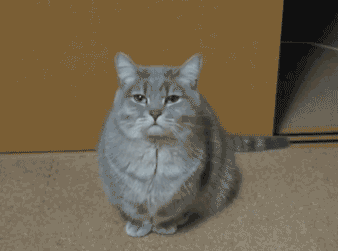 ãÃÂõÃÂùúî õùúÃÂýñ