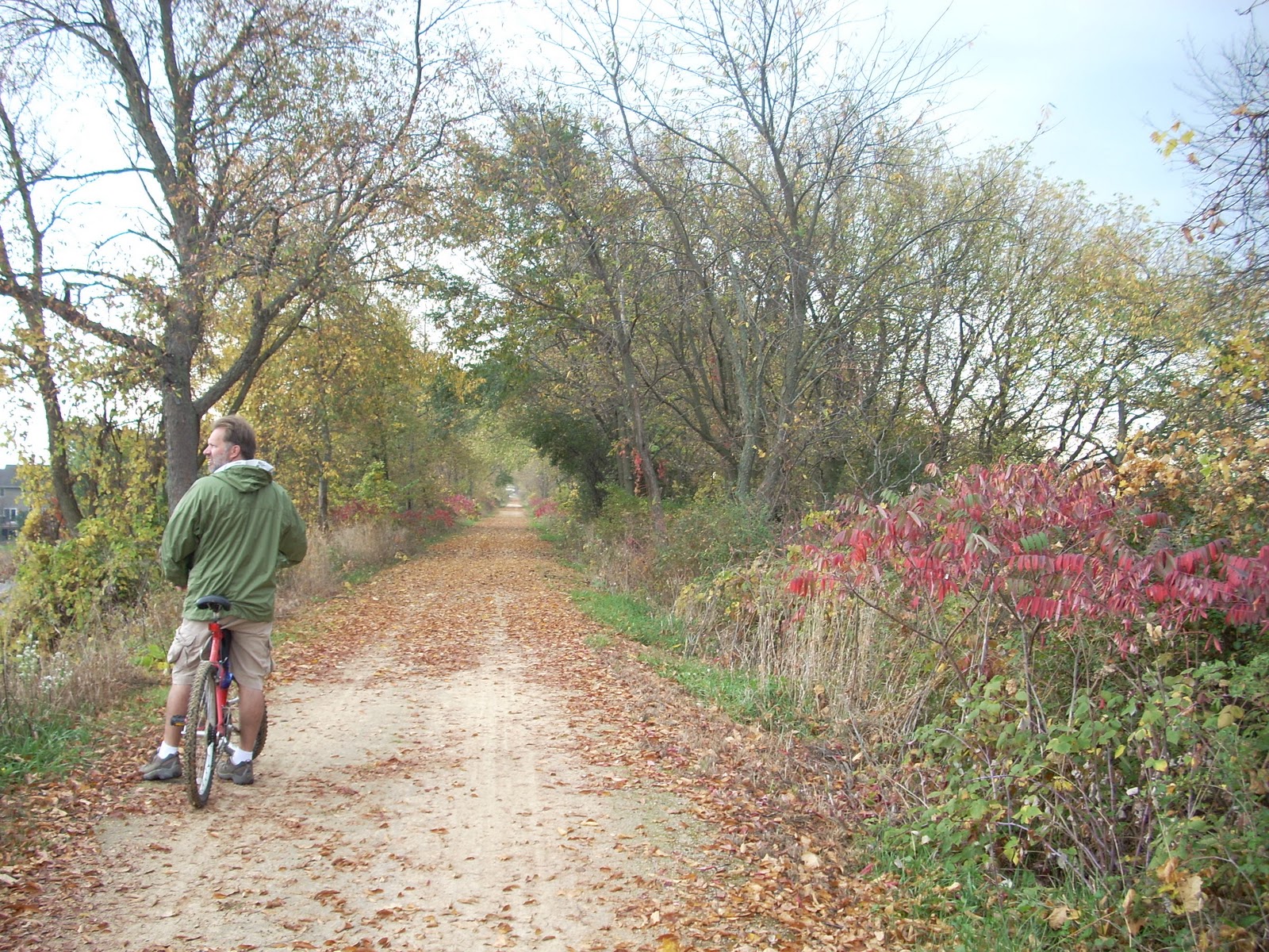 Nomadic Newfies: Get Me to The Grumpy Troll!