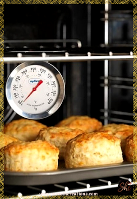 SHC Top 10 Tips for Baking The Best Cupcakes TIP #6: OVEN THERMOMETER, EVERY TIME