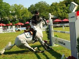 a cavalo saltos sobre a obstáculo. a cavalo cavalgando. pulando