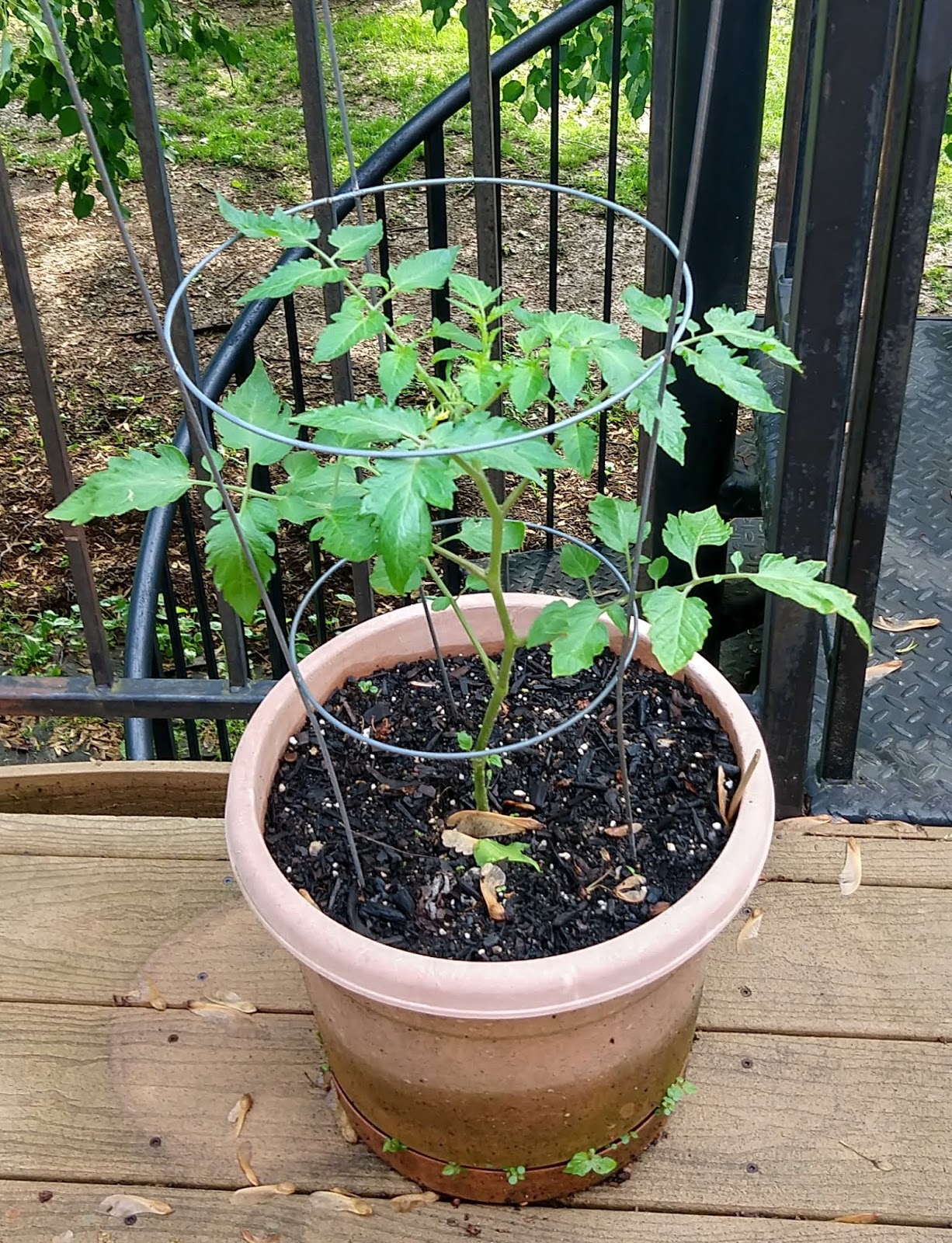 The More, The Messier Back To Nature