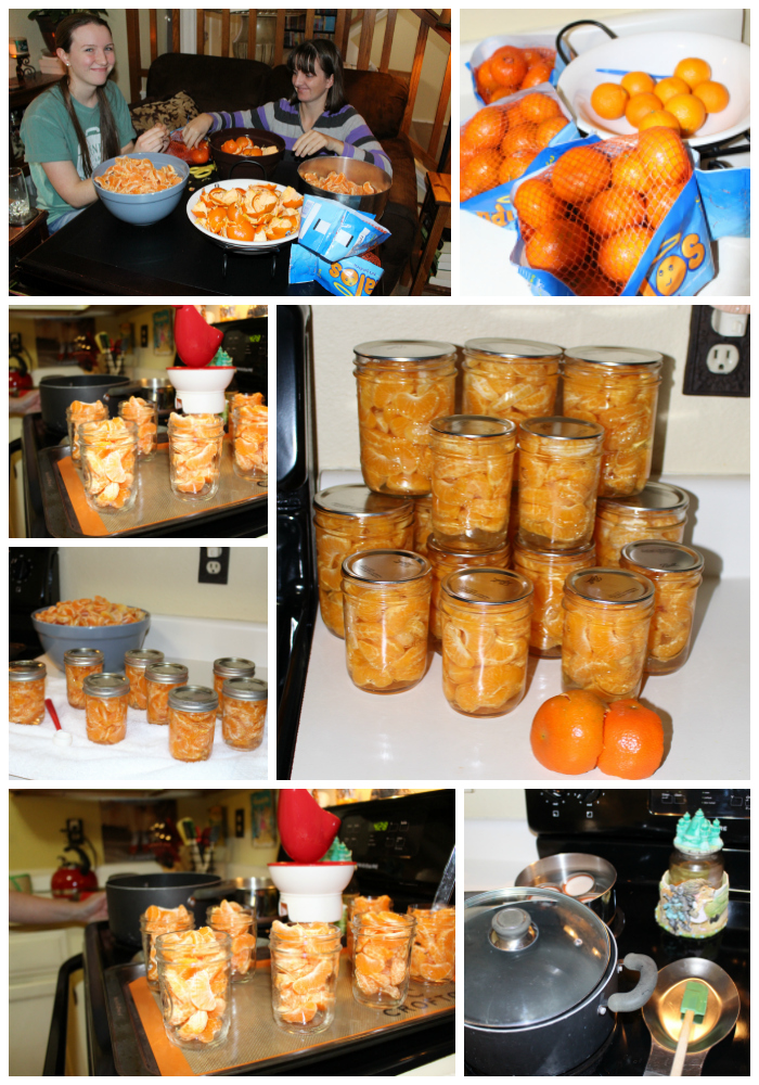 Texas Kirkwoods Canning Mandarin Oranges
