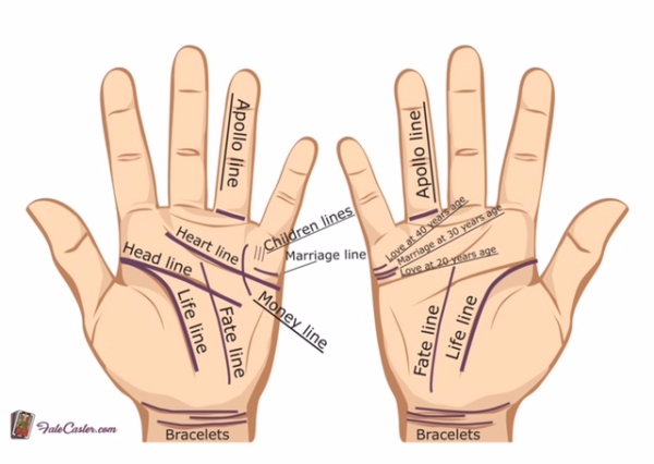 Arti Garis Tangan Dan panduan Lengkap cara Membaca Garis Tangan