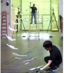 robot flying fly bird perched experiment figure