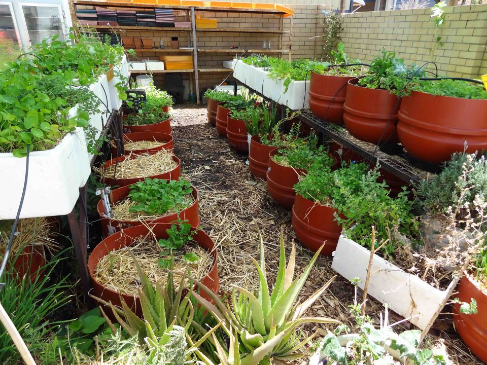 Prêt&Paré Wicking Bed la jardinière autonome.