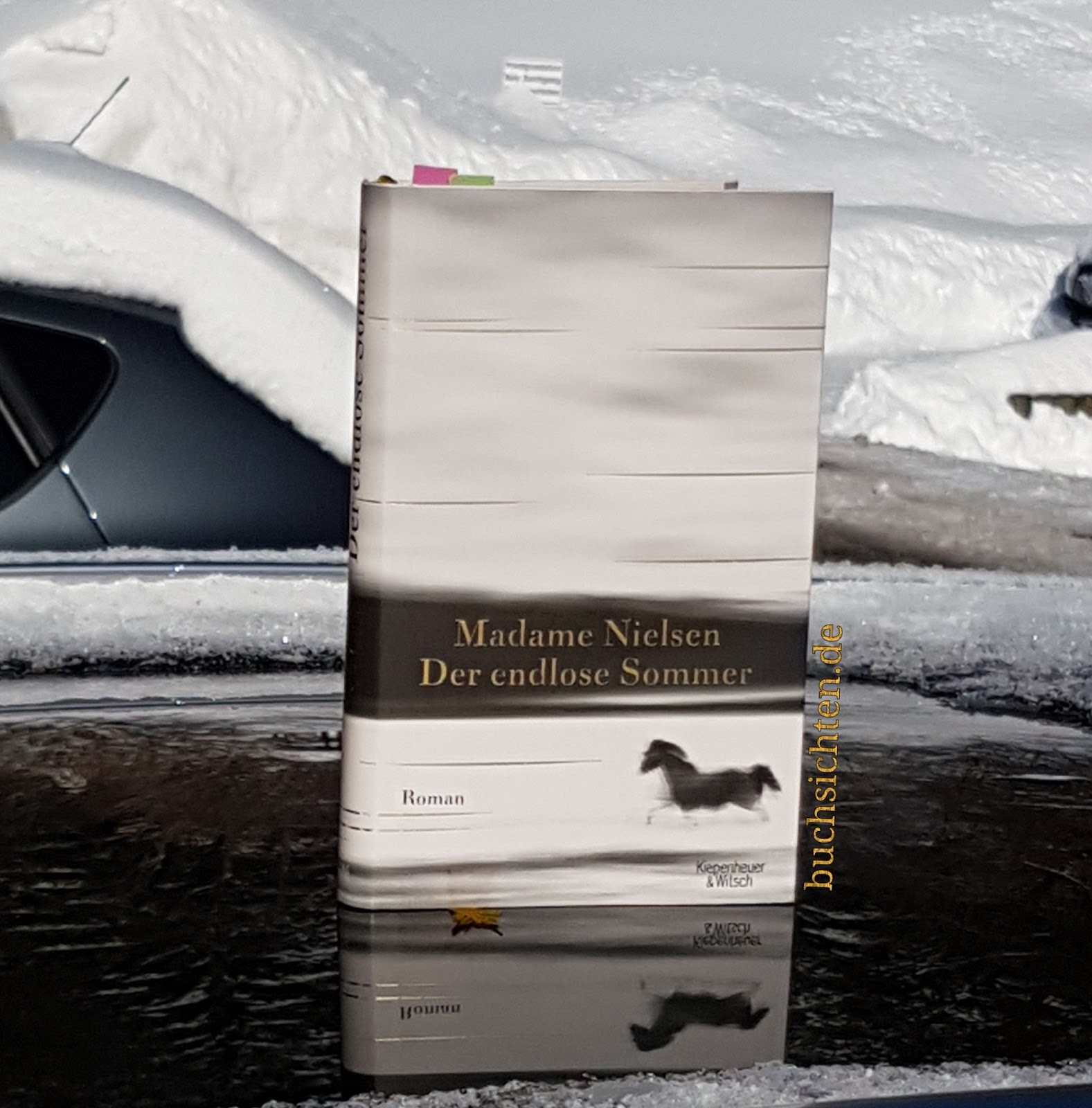 Rezension Soul Of Stars Anika Ackermann Alinakunterbunt