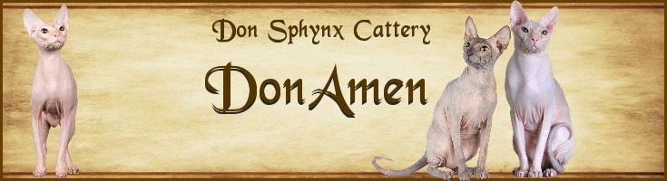 DonAmen's Don Sphynx