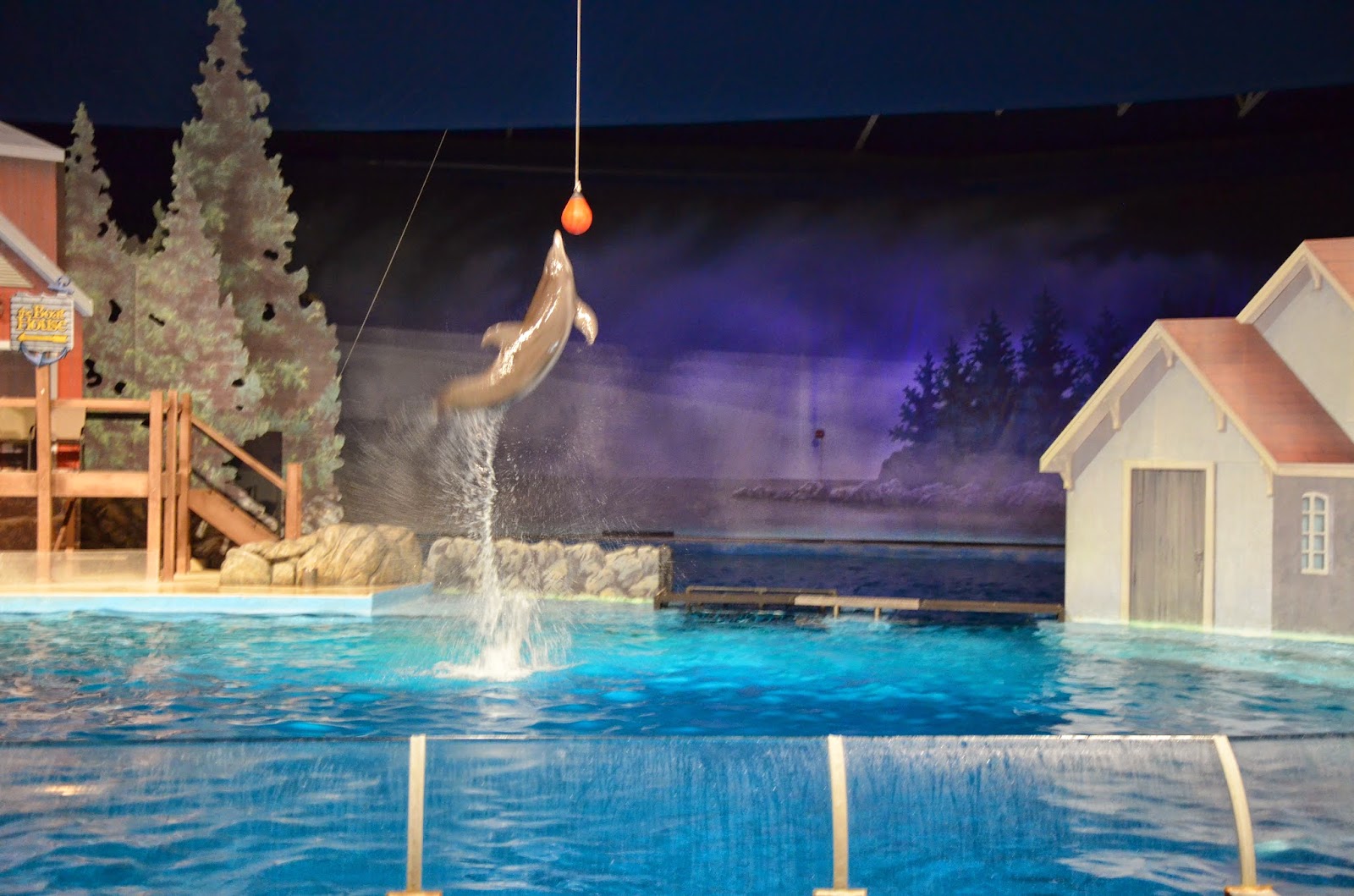 Midwest Family Traveler: Dolphin Shows at Indianapolis Zoo